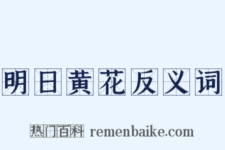 明日黄花反义词是什么意思的图片